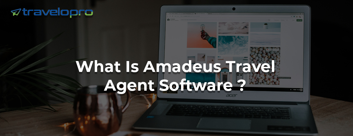 What Is Amadeus Travel Agent Software ?