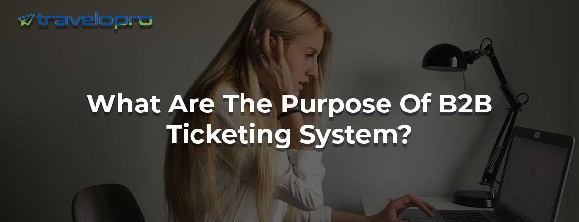 What Are The Purpose Of B2B Ticketing System?