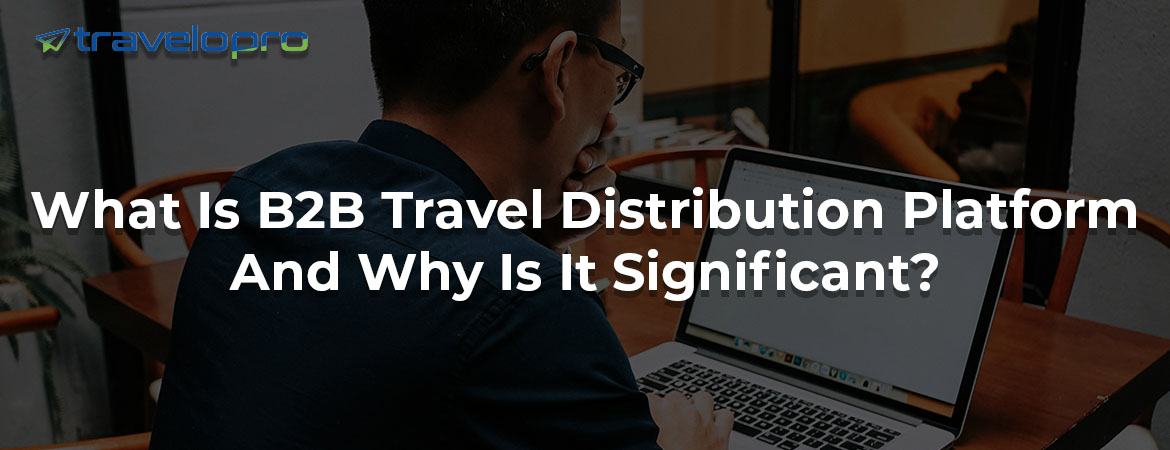 What Is B2B Travel Distribution Platform And Why Is It Significant?