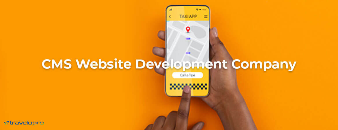 cms-development-services