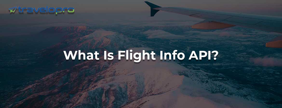 What Is Flight Info API?