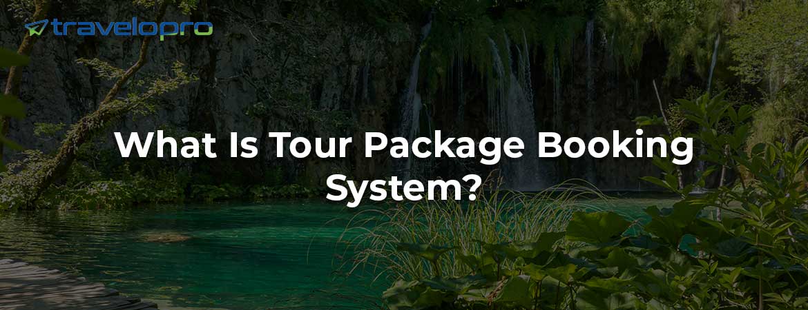 What Is Tour Package Booking System?