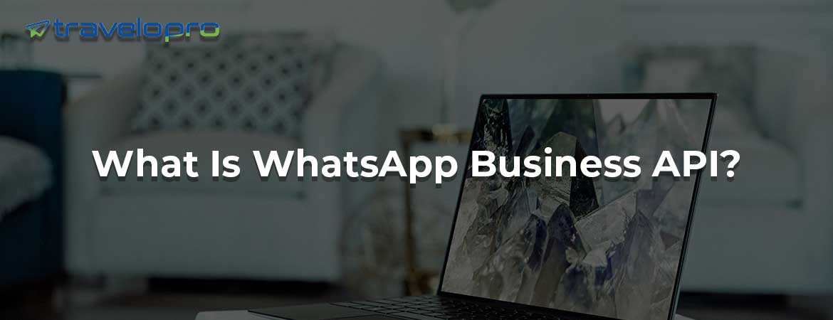 What Is WhatsApp Business API?