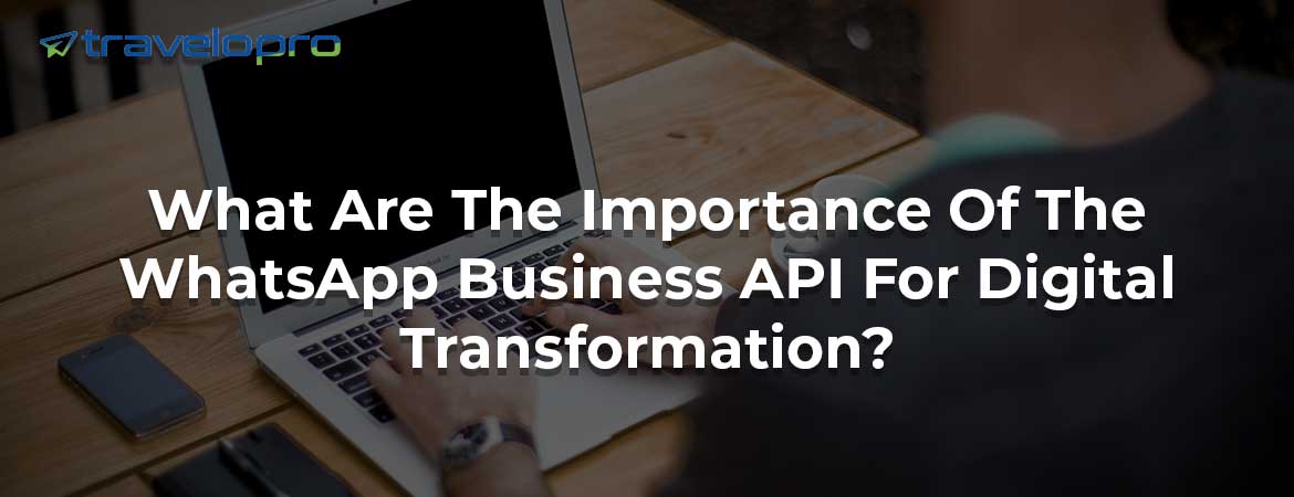 What Are The Importance Of The WhatsApp Business API For Digital Transformation?