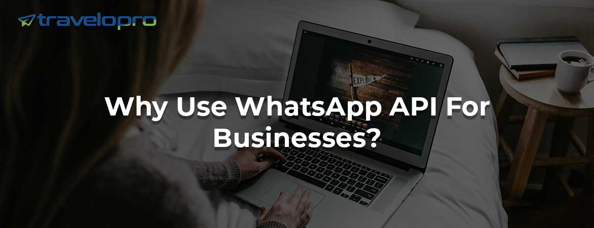 Why Use WhatsApp API For Businesses?