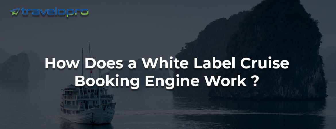How Does A White Label Cruise Booking Engine Work ?